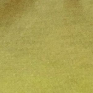 Meet your Posher, Vic